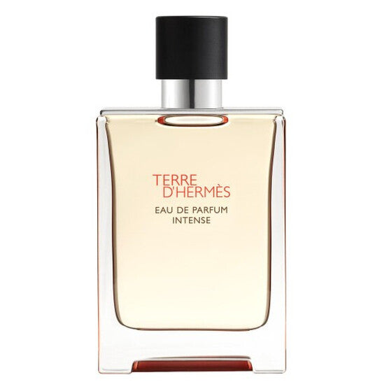 Hermes  Men's Terre D' Intense EDP